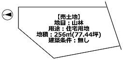 物件画像 公園がお隣さんの観音寺の土地