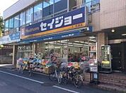 ドラッグストア　セイジョー秋津店まで約1100m　サンハイツ　東村山市秋津町　西武池袋線秋津駅　賃貸アパート