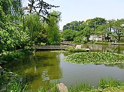 [周辺] 白幡池公園まで407m、公園のシンボル白幡池の上を渡るように設計された遊歩道があり、翠の水辺の潤いを感じることのできる都市のオアシス的存在です