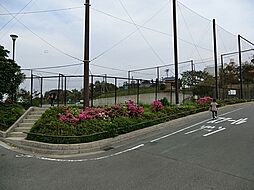 [周辺] 杉田梅林トンネル公園まで606m