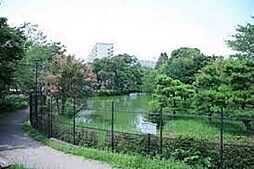 [周辺] 菊田水鳥公園 徒歩6分。 450m