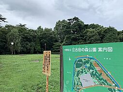 [周辺] 江古田の森公園まで1019m、国立病院跡地の豊富な既存樹林を生かし、隣接する保健福祉施設と調和する公園と謳われる。