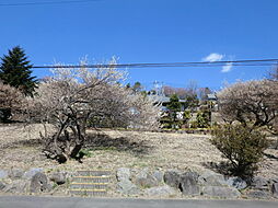 物件画像 パークタウン梅ヶ丘