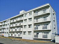 徳島県鳴門市撫養町立岩字七枚59：物件画像／株式会社鳴門賃貸ハウス