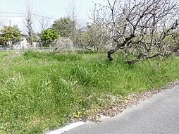 物件画像 本巣市曽井中島　売土地