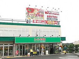 [周辺] スーパー生鮮館TAIGA藤沢店 徒歩7分。スーパー 550m