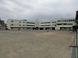 [周辺] 川崎市立大島小学校まで240m