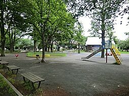 [周辺] 柏葉公園まで816m、徒歩約10分です。子供たちが木のぬくもりを感じながら、自由に遊ぶことができるログハウスが併設されている公園です。