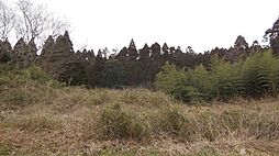 物件画像 2349番 山武市大木846−売地779坪