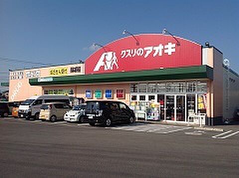 画像20:クスリのアオキ 堀内店（925m）