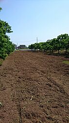 物件画像 羽鳥　脇山農地　Ａ