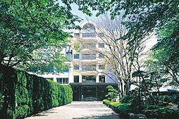 [周辺] 私立国際学院埼玉短期大学 2026m