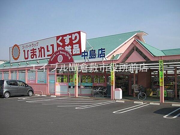 画像26:スーパードラッグひまわり中島店 1007m