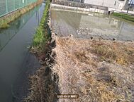 愛知県弥富市佐古木3丁目364-2：物件画像