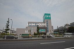 [周辺] ニトリ　大田大鳥居店 645m
