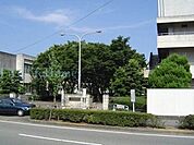 国立徳島大学 1191m