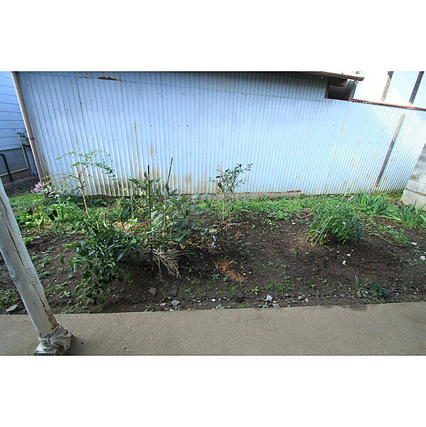 画像5:お庭
