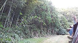 物件画像 2023番 千葉県山武市松尾町小川99-2他 土地2312坪