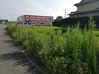 愛知県弥富市竹田6丁目83：物件画像