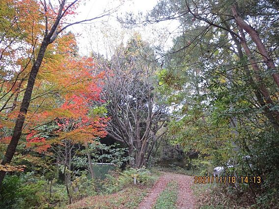 別荘へ行く途中...