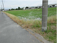 愛知県海部郡蟹江町大字須成字脇ノ田1637、1638-1：物件画像