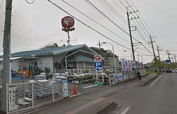 画像17:コメリ　太田大島店（266m）