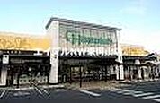 ハピッシュ国府市場店 1841m