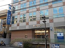 [周辺] 【銀行】横浜銀行妙蓮寺支店まで486ｍ