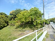 山口県下関市豊北町大字阿川：物件画像