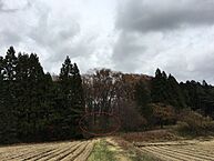 栃木県那須郡那須町大字高久丙：物件画像