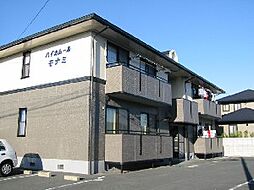 ハイカムールモナミ