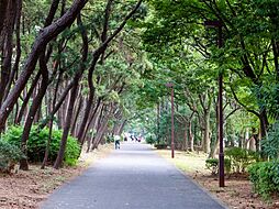 [周辺] 【京浜運河緑道公園】八潮パークタウンを囲う様に緑道がつづいており、ジョギングやお散歩に最適です。