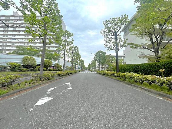 前面道路