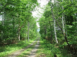 長野県下高井郡山ノ内町　別荘用地