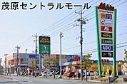 茂原セントラルモールまで1900m