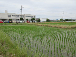 物件画像 売地　海部郡蟹江町大字須成字脇ノ田　TK