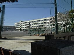 [周辺] 横浜市立東希望が丘小学校500m