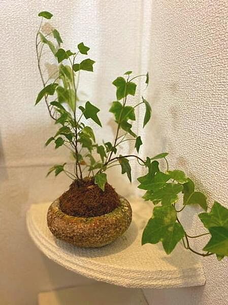 Beautiful mountainous landscape with colorful sky