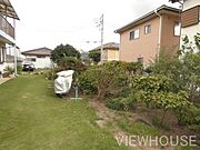現地写真