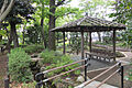 蘇峰公園まで徒...