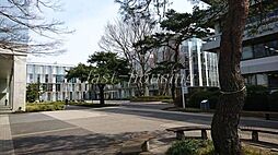 [周辺] 私立東京経済大学 1604m
