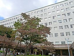 [周辺] 【総合病院】日本大学医学部附属板橋病院まで707ｍ