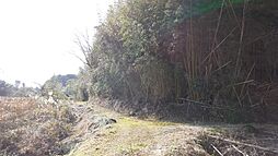 物件画像 2347番 山武市埴谷 土地246坪