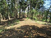 山林部分の土地660坪