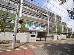 [周辺] 川崎市立子母口小学校（690m）