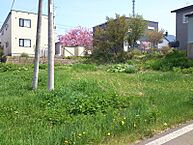 北海道網走市桂町5丁目：物件画像