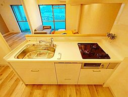 [キッチン] 新しく食洗器、洗浄機能を付けました。