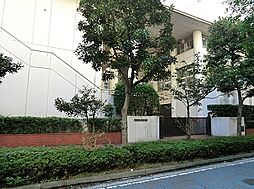 [周辺] 横浜市立港中学校まで240m