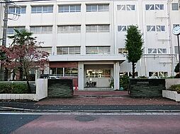[周辺] 横浜市立新田中学校まで1200m