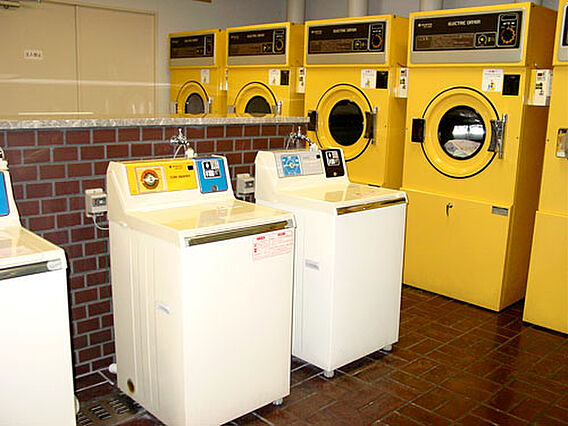 【共用部】コイ...